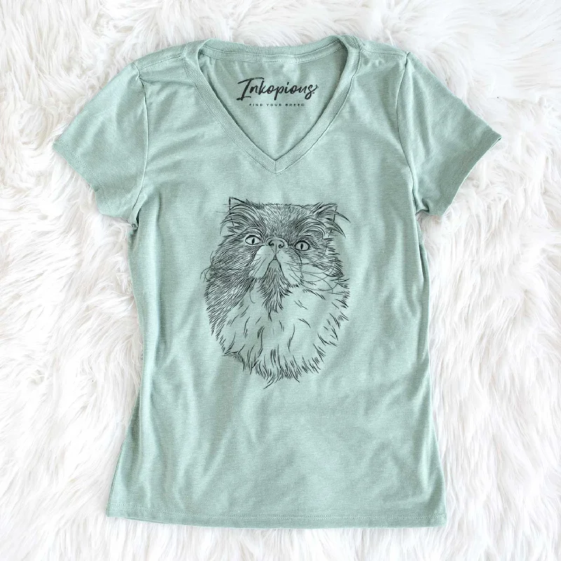 Bare Tookie the Perisan Cat - Women's V-neck Shirt-- Boxy Fit Fitted Loose